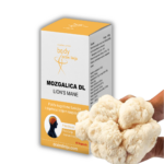 Šta je zapravo Lavlja griva ( Mozgalica DL) i otkud dolazi?