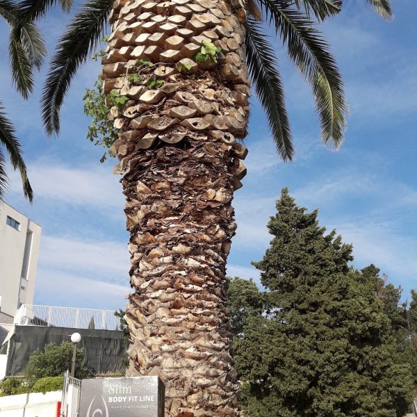 20180519_102857